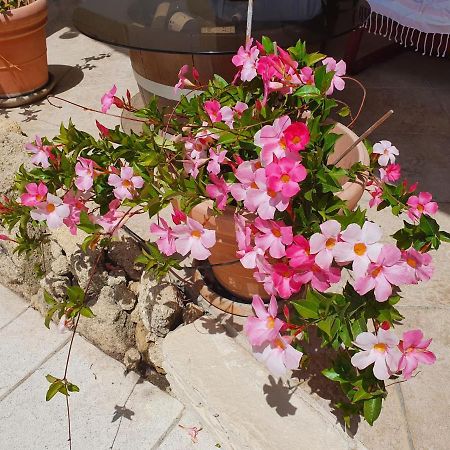 생마르탱드크로 Fenetre Sur Les Alpilles B&B 외부 사진
