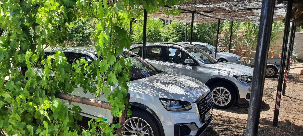 생마르탱드크로 Fenetre Sur Les Alpilles B&B 외부 사진