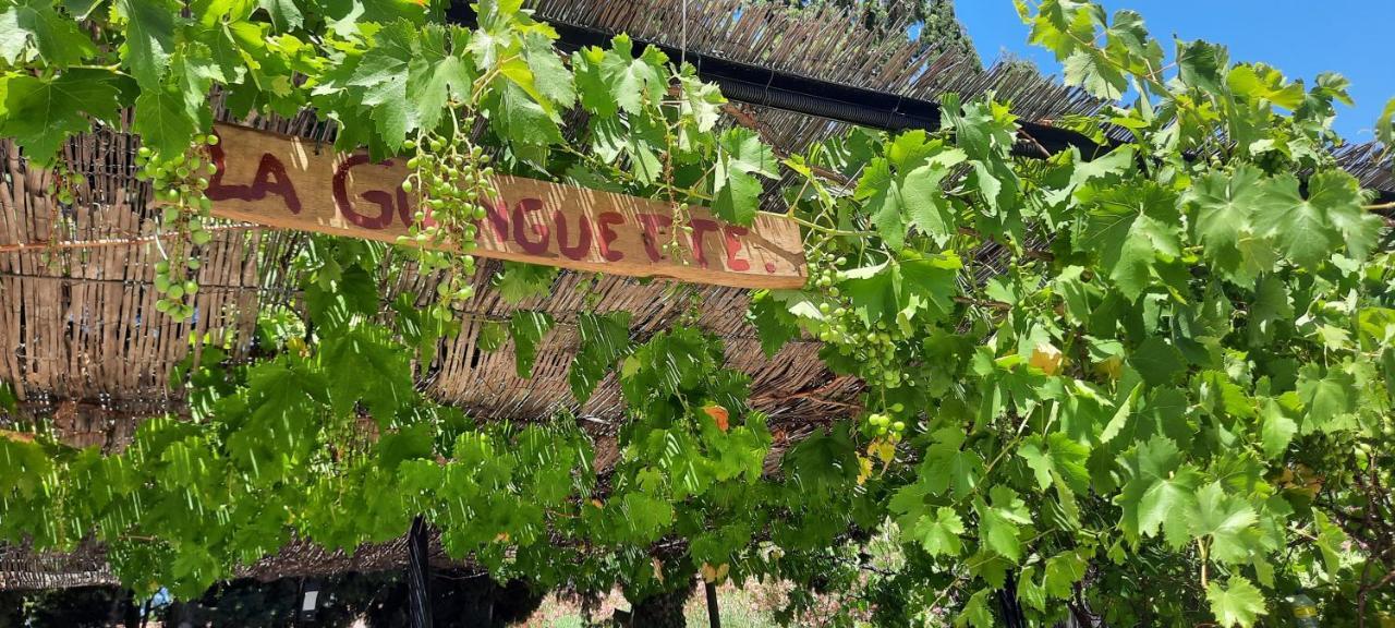 생마르탱드크로 Fenetre Sur Les Alpilles B&B 외부 사진