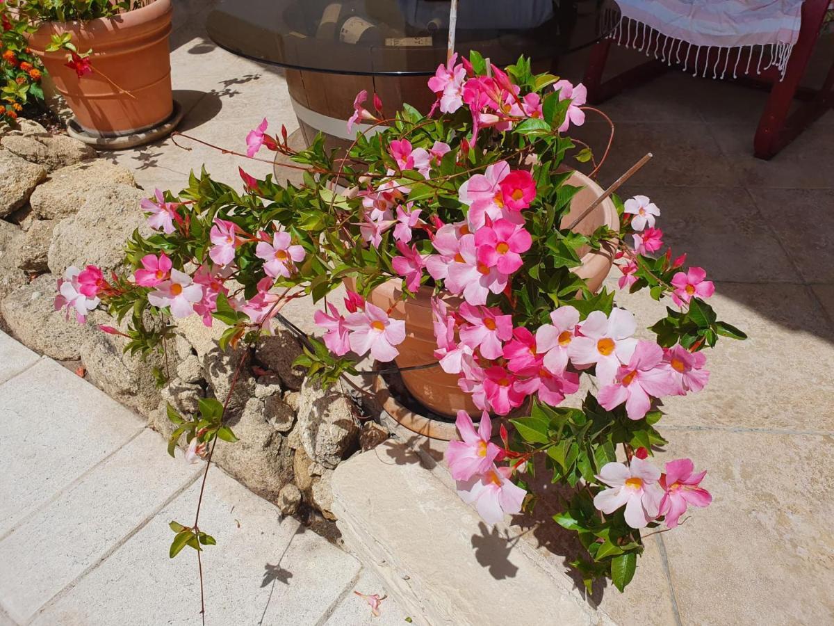 생마르탱드크로 Fenetre Sur Les Alpilles B&B 외부 사진