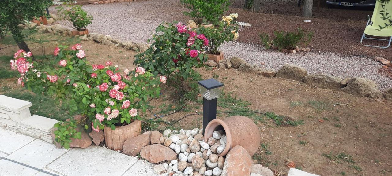 생마르탱드크로 Fenetre Sur Les Alpilles B&B 외부 사진